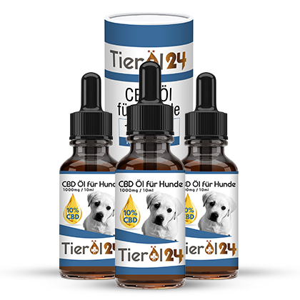 3 für 2 CBD Tieröl für Hunde 10%