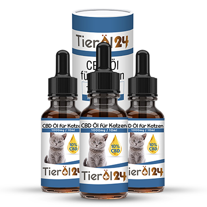 3 für 2 CBD Tieröl für Katzen 10%