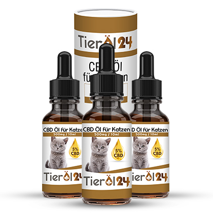 3 für 2 CBD Tieröl für Katzen 5%